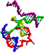 DNA nanotweezers